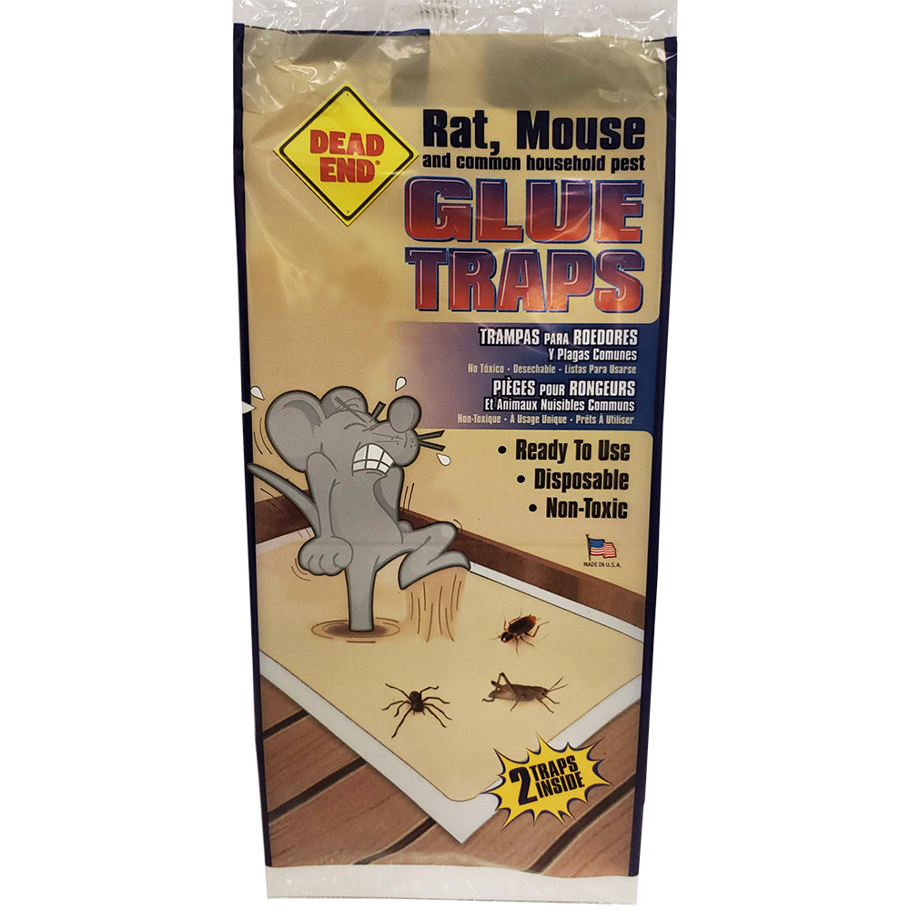 9" REAL LARGE MOUSE TRAP Sticky Glue RAT MICE Glue Boards Baited Tray 2 Traps/Pk 