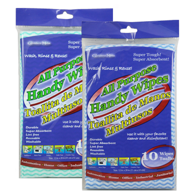 Cleaning Wipes Bulk Case 24